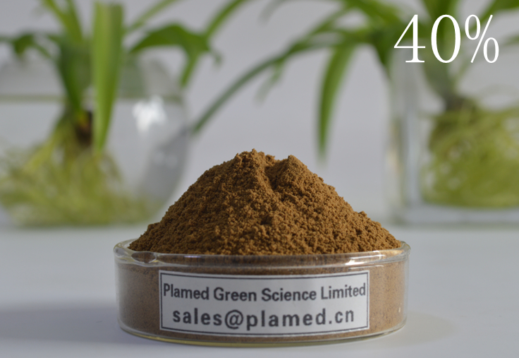 Tribulus terrestris extract 40%