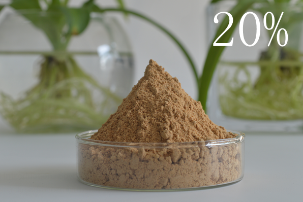 soybean isoflavone