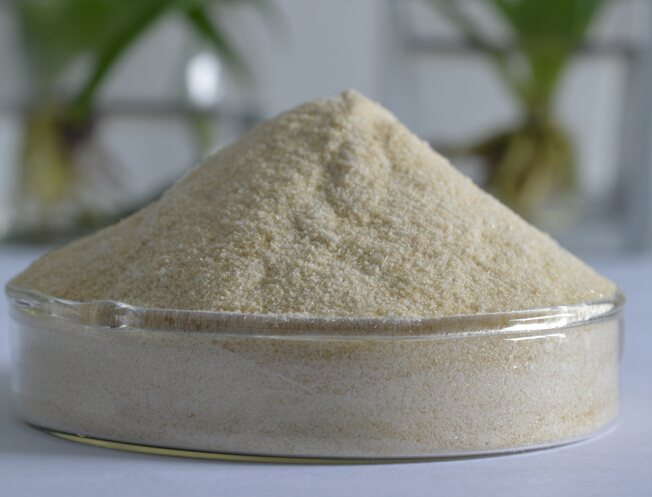 Nattokinase